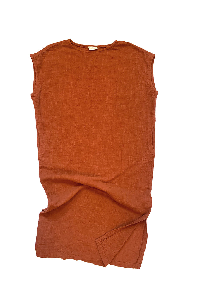 rust colored dress flat on white background